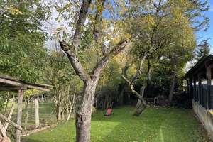 *NEU* IHRE CHANCE! FREISTEHENDES EINFAMILIENHAUS IN RUHIGER NATURNAHER LAGE! JETZT TERMIN MACHEN! – Die vollständige Adresse der Immobilie erhältst du vom Anbieter., 55595 Münchwald – Vorschaubild 15