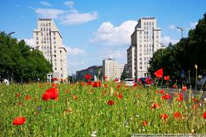 Property thumbnail 36