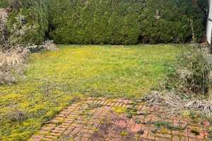 DHH im Landhausstil, Garten, 2 Pkw-Abstellplätze, in schöner Wohnl. v. 64367 Mühltal-OT Nd.-Beerbach – Darmstadt-Dieburg (Kreis) – Vorschaubild 3