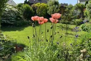DHH mit traumhaftem Garten in Schmiechen - Ideal für Familien und Pendler! – Aichach-Friedberg (Kreis) – Vorschaubild 16