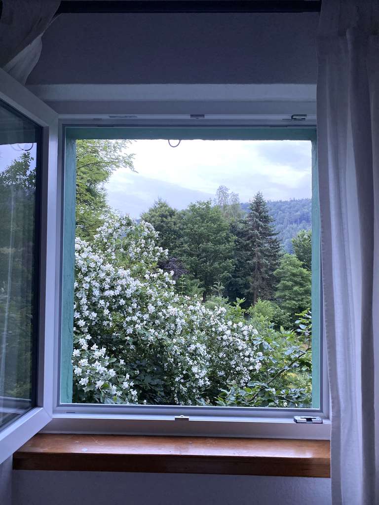 Immobilie in Elmstein - Ferienhaustraum im Pfälzer Wald - Bild 2