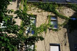 Stadthaus sucht Sie! – Vogtlandkreis – Vorschaubild 3