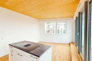 Exklusives Penthouse mit sonniger Dachterrasse – Leonie-Ossowski-Promenade 15, 68309 Käfertal, Mannheim – Vorschaubild 7
