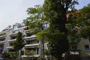 Property thumbnail 22