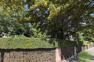 ** EINZIGartig ** Historisches Staatsgebäude ** Wohnhaus mit parkartigem Garten ** – Die vollständige Adresse der Immobilie erhältst du vom Anbieter., 90461 Hummelstein, Nürnberg – Vorschaubild 80