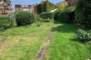 Zentral gelegenes 3-Familienwohnhaus und Einfamilienhinterhaus mit Garten – Holzminden (Kreis) – Vorschaubild 4