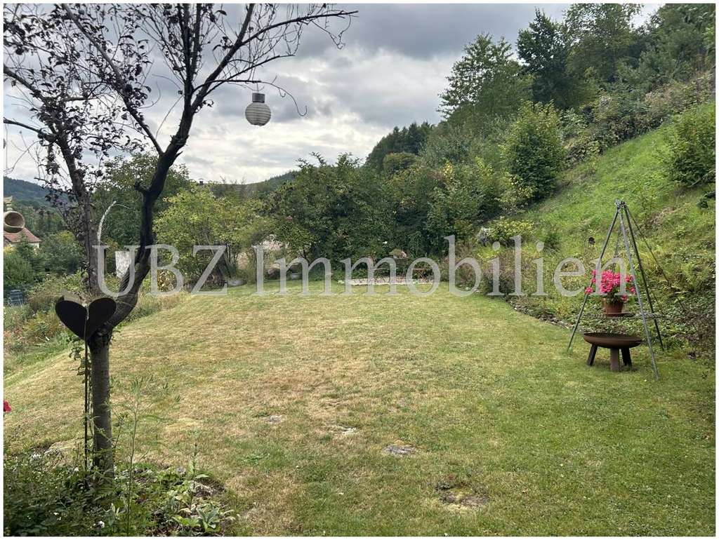 Immobilie in Laufach - Haus mit Traumgrundstück in ruhiger Lage. - Bild 0