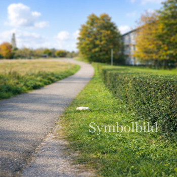 Mehrere Wohnungen in einem gepflegten Mehrfamilienhaus zu verkaufen