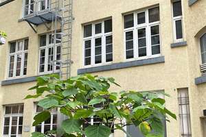 Klasse Loft zum Arbeiten und Wohnen mitten in Stuttgart! – Die vollständige Adresse der Immobilie erhältst du vom Anbieter., 70184 Dobel, Stuttgart – Vorschaubild 2