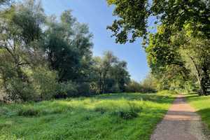 Attraktives Raumwunder mit vielen Nutzungsmöglichkeiten am Krefelder Stadtwald – Krefeld – Vorschaubild 36