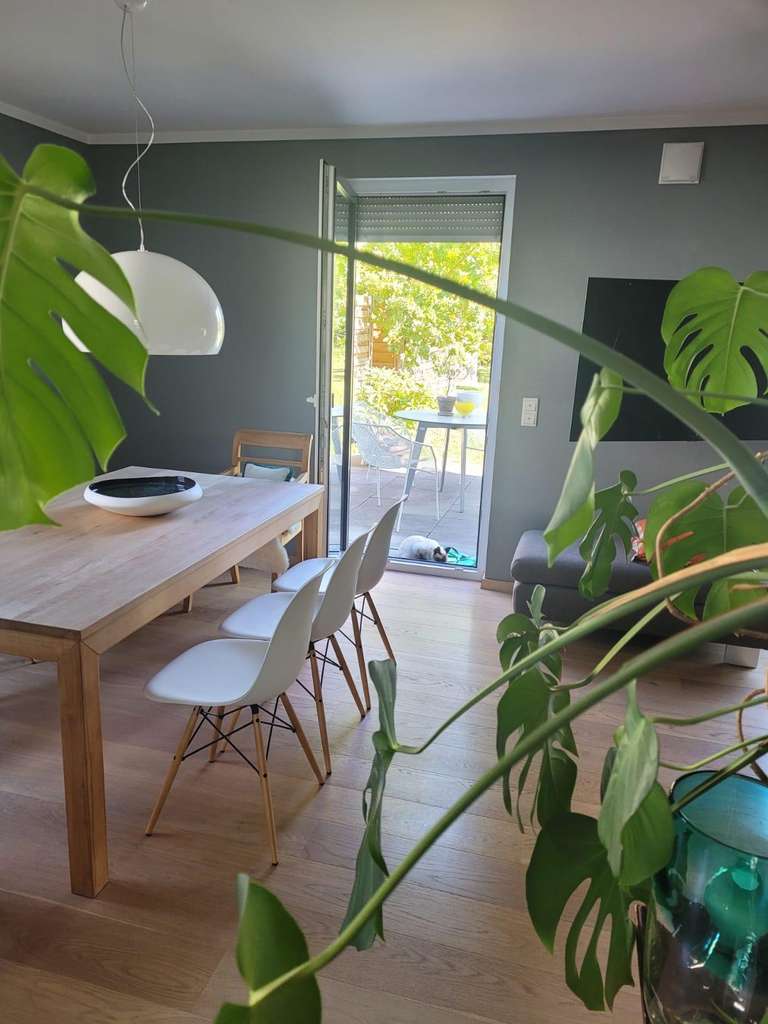 Immobilie in Hohen-Sülzen - Traumhaftes Einfamilienhaus mit großem Garten und Blick ins Grüne- provisionsfrei! - Bild 4