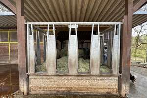 Reitanlage mit Stall und schönen Landhaus in St. Ingbert-Hassel zu verkaufen. – Die vollständige Adresse der Immobilie erhältst du vom Anbieter., 66386 Sankt Ingbert – Vorschaubild 28