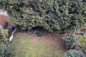 Schönes renovierungsbedürftiges Reihenhaus nähe Rheinauer See – Alpseeweg 8, 68219 Rheinau, Mannheim – Vorschaubild 25