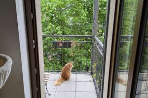 Lebendig wohnen in Leipzig: Helle Wohung mit Balkon