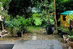 3 ZW, sep. Küche, EG mit Terrasse! – Londoner Str. 18, 53117 Bonn – Vorschaubild 13