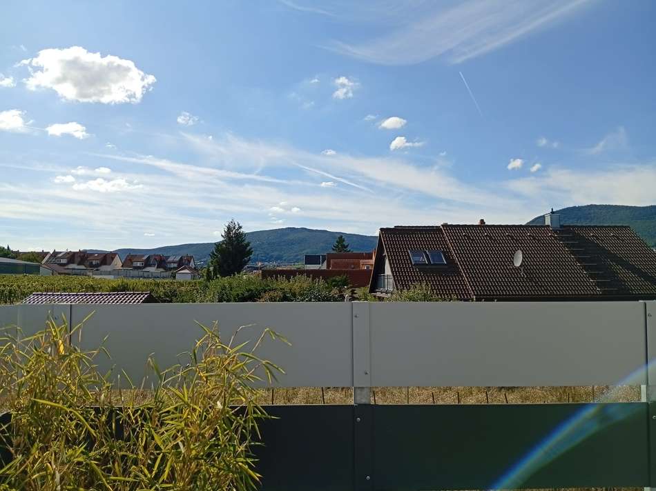 Ausblick