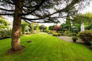 Reserviert / Exklusive 6-Zimmer-Villa in Hamburg-Sasel mit großzügigem Garten – Hamburg – Vorschaubild 17