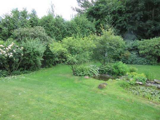 Traumhafter Garten Traumhafter Garten