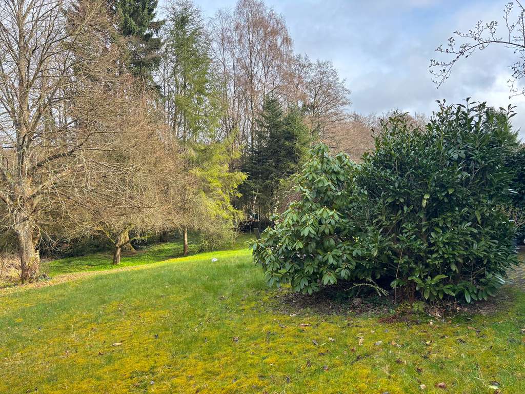 Immobilie in Gehlert - Vermietete Maisonette-Eigentumswohnung in toller Ortsrandlage von Hachenburg-Altstadt! - Bild 1