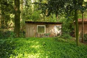 Keine Käuferprovision - Einfamilienhaus mit Garage in Waldrandlage – Emsland (Kreis) – Vorschaubild 12