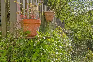 Gepflegtes Einfamilienhaus mit idyllischem Garten und Stellplatz – Ahrweiler (Kreis) – Vorschaubild 28