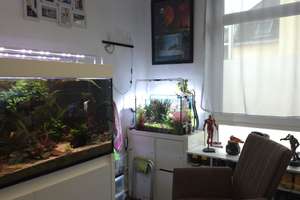 Property thumbnail 15