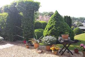 schönes gepflegtes Mehrfamilienhaus mit wunderschön angelegtem Hinterhof / Garten in Plauen – Plauen – Vorschaubild 9