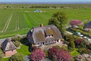 Charmantes Friesenhaus in zurückgezogener Lage – Die vollständige Adresse der Immobilie erhältst du vom Anbieter., 25980 Sylt (Gemeinde) – Vorschaubild 2