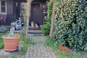 Maklerfrei: autark - renoviert - besonderes Haus mit PV Anlage, Brunnen, Wald, Weiher, sep Halle  – Die vollständige Adresse der Immobilie erhältst du vom Anbieter., 92271 Freihung – Vorschaubild 20