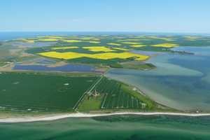 Kleines Inselglück in Petersdorf - Ihr eigenes Häuschen an der Ostsee – Ostholstein (Kreis) – Vorschaubild 24