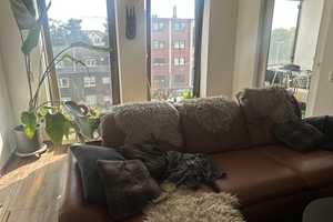 Schöne helle 2 Zimmerwohnung mit Balkon und Stellplatz in MG-Mitte ! – Hittastr. 42, 41061 Mönchengladbach – Vorschaubild 14