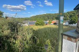 Charmantes, großzügiges Anwesen mit 2 Wohnhäusern, Scheune, Lager/Werkstatt (alte Stallungen) – Wollweg 3, 53902 Euskirchen (Kreis) – Vorschaubild 70