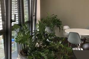 Exklusives Design-Loft am Fuße des Westerberg von OS  – Natruper Straße 96a, 49090 Hafen, Osnabrück – Vorschaubild 25