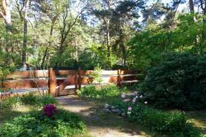 Schönes Ferienhaus mit großem Garten südlich von Berlin (nahe Zossen) zu vermieten – Teltow-Fläming (Kreis) – Vorschaubild 6