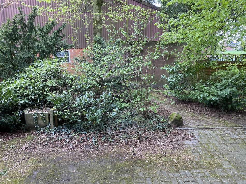 Bild15