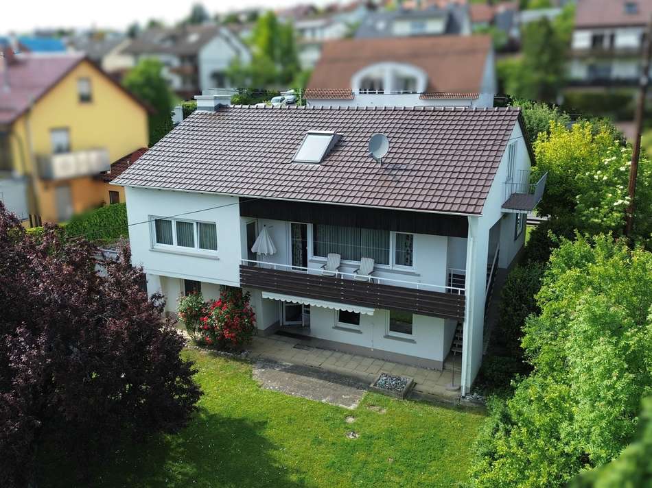 45981371
