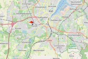 Neuer Preis: Stilvolle Altbauvilla mit historischem Flair und großem Potenzial – Die vollständige Adresse der Immobilie erhältst du vom Anbieter., 24113 Hassee, Kiel – Vorschaubild 37