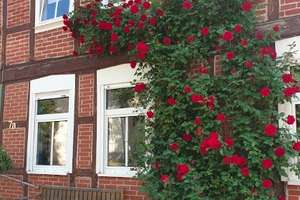 Sehr gepflegter Vierseitenhof. Saniert. Umfangreiche Nebengebäude. Großer Pool. – Die vollständige Adresse der Immobilie erhältst du vom Anbieter., 39629 Meßdorf – Vorschaubild 1