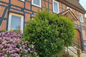 Wohnen direkt am Wasser: Charmanter Altbau direkt an der Weser – Krämerstraße 15, 34399 Kassel (Kreis) – Vorschaubild 43