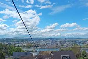 Charmante Villa auf großzügigem, teilbarem Grundstück, alter Baumbestand und unverbaubarer Höhenlage – 56077 Ehrenbreitstein, Koblenz – Vorschaubild 10