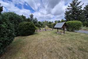 Zwei Häuser und ein Traumgrundstück mit Teich, Pool und viel Platz für Freizeit und Hobby! – Pretzscher Allee 8, 6905 Bad Schmiedeberg – Vorschaubild 5