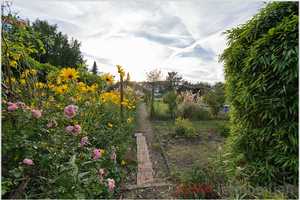 Einfamilienhaus mit viel Platz und großem Garten – Köln – Vorschaubild 15