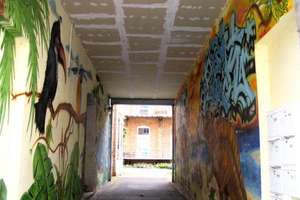 Ruhiges 1-Zi-Appartement mit Pantryküche, Duschbad, Laminatboden - südl. Innenstadt – Bernhardystraße 22a, 6110 Südliche Innenstadt, Halle (Saale) – Vorschaubild 4