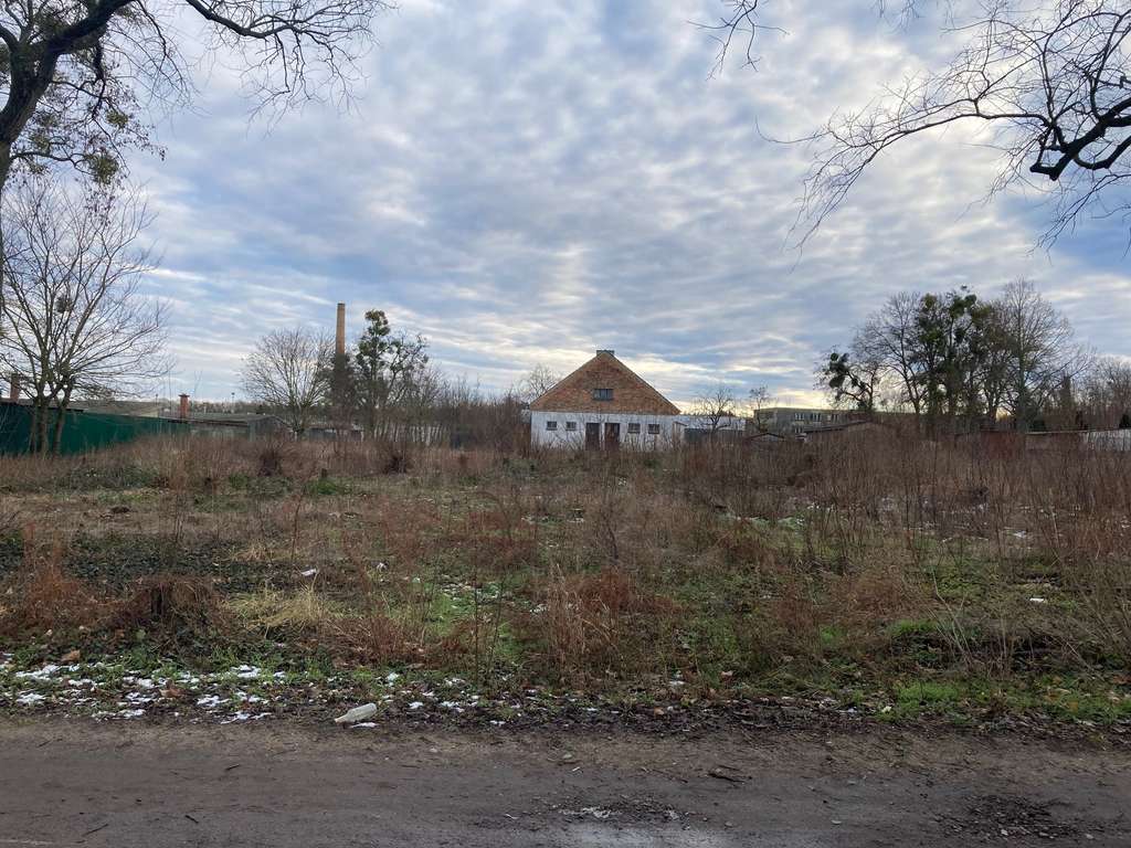 Immobilie in Wriezen - Aktionshaus ! Kleiner Bungalow in grüner Lage in Wriezen inklusive Grundstück und Baunebenkosten - Bild 3