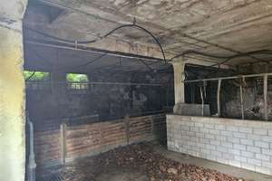 Denkmalgeschützte Hofanlage Gut Melb in Bonn (9 Bauten diverser Art und Baujahre) – Melbweg 42, 53127 Venusberg, Bonn – Vorschaubild 24