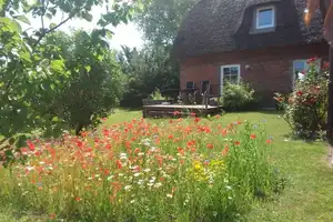 Alleinstehendes Reetdachhaus mit wunderschönem Garten in Meernähe – Norderhaffdeich 4, 25849 Nordfriesland (Kreis) – Vorschaubild 8