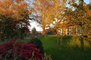 Freistehendes Einfamilienhaus mit großem Garten und ruhiger Feldrandlage – Kampstraße 22, 31547 Rehburg-Loccum – Vorschaubild 18