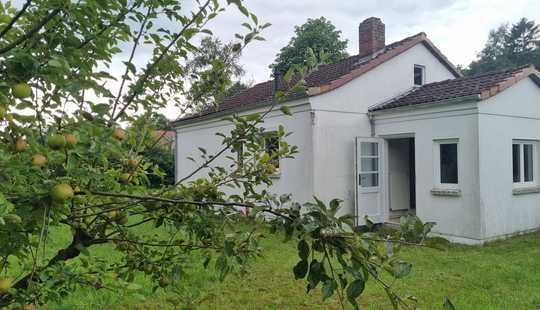 Bild von Kleines Haus auf sonnigem Traumgrundstück in Bremen Borgfeld
