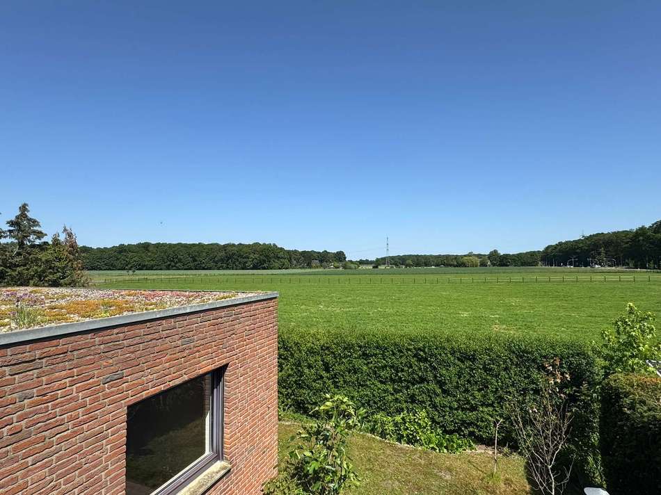 Ausblick 