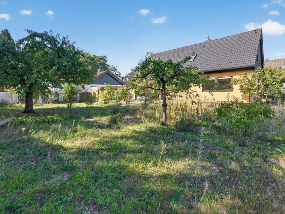 Blick in den Garten